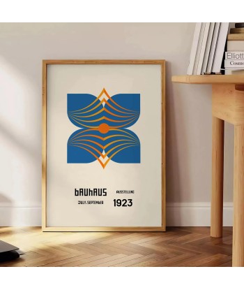 Affiche Bauhaus 13 une grave pollution 