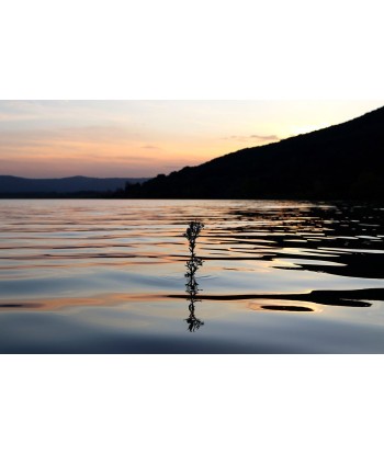 HONNORAT Coralie - Miroir d'eau (Photographie) Par le système avancé 