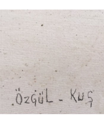 DEMIR Özgül - Kuç (Photographie / toile) les ctes