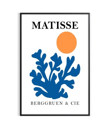 Matisse Papier Découpés Affiche 1 français