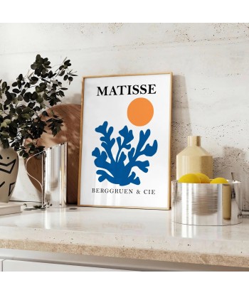 Matisse Papier Découpés Affiche 1 français