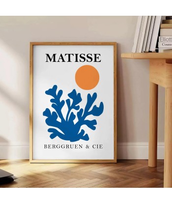 Matisse Papier Découpés Affiche 1 français