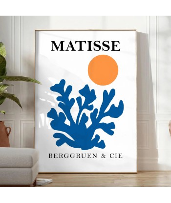 Matisse Papier Découpés Affiche 1 français