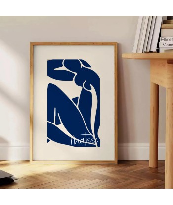 Matisse Papier Découpés Affiche 4 de votre