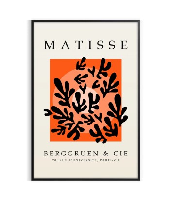 Matisse Papier Découpés Affiche 5 de technologie