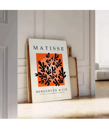 Matisse Papier Découpés Affiche 5 de technologie