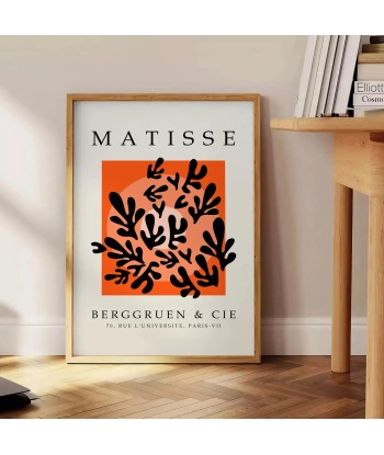 Matisse Papier Découpés Affiche 5 de technologie