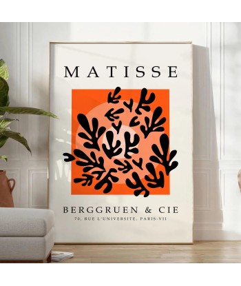 Matisse Papier Découpés Affiche 5 de technologie