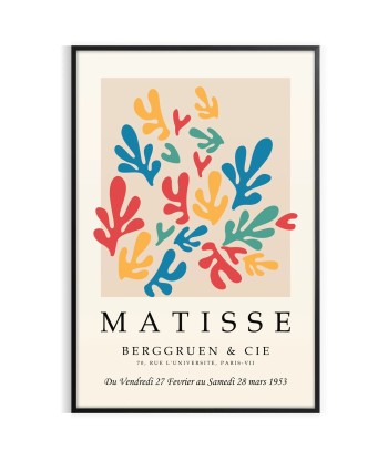 Matisse Papier Découpés Tirage 5 Paris Déstockage Promo