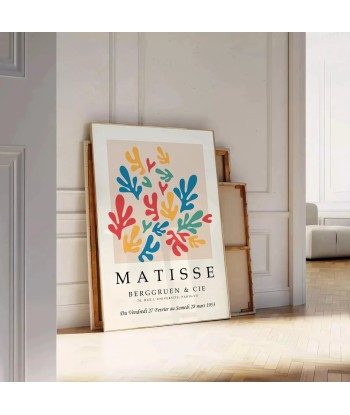 Matisse Papier Découpés Tirage 5 Paris Déstockage Promo