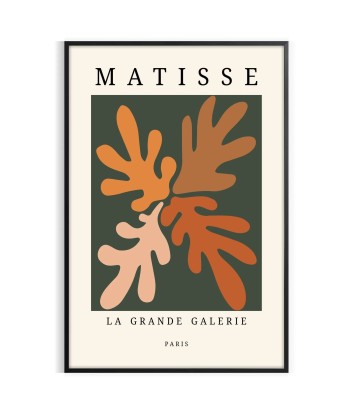 Matisse Papier Découpés Tirage 6 Amélioration de cerveau avec