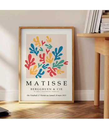 Matisse Papier Découpés Tirage 5 Paris Déstockage Promo