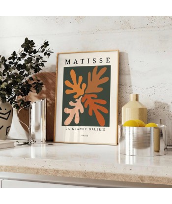 Matisse Papier Découpés Tirage 6 Amélioration de cerveau avec