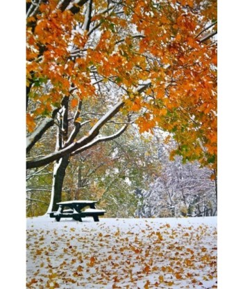 MARICK - Neige d'automne (Photographie) rembourrage situé sous