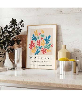 Matisse Papier Découpés Tirage 5 Paris Déstockage Promo