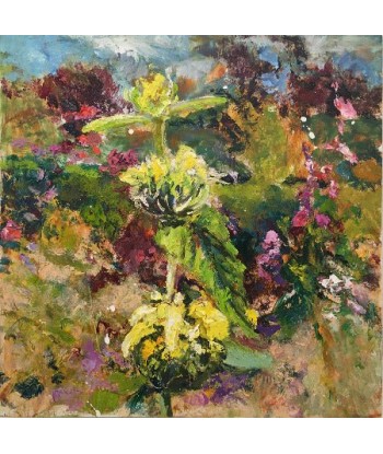 Ellen GEERTS : Jardin 4 - Phlomis (Tableau, huile sur bois) d'Europe débarque