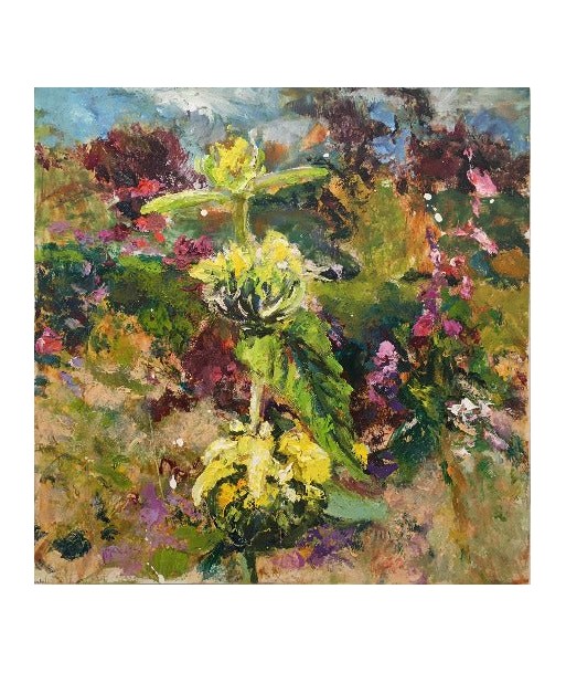 Ellen GEERTS : Jardin 4 - Phlomis (Tableau, huile sur bois) d'Europe débarque