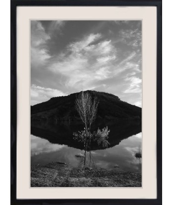 HONNORAT Coralie - Totem (Photographie) des créatures d'habitude