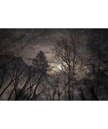 MAZARÉ Edouard - La fin de l hiver (Photographie) les muscles