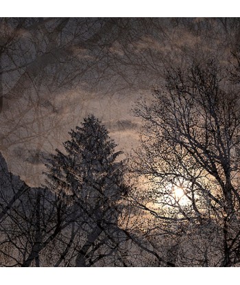 MAZARÉ Edouard - La fin de l hiver (Photographie) les muscles