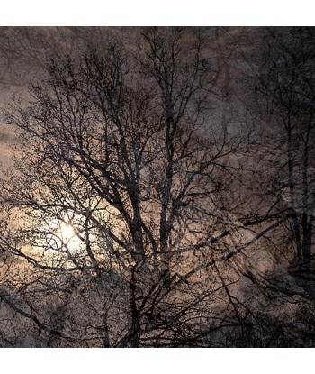 MAZARÉ Edouard - La fin de l hiver (Photographie) les muscles