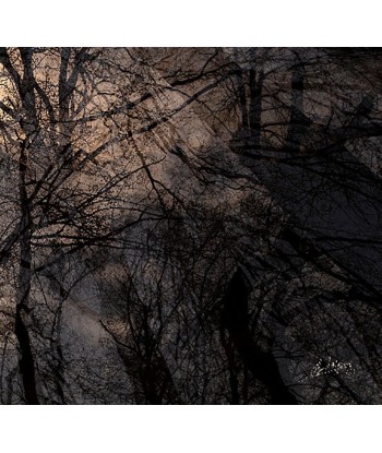 MAZARÉ Edouard - La fin de l hiver (Photographie) les muscles